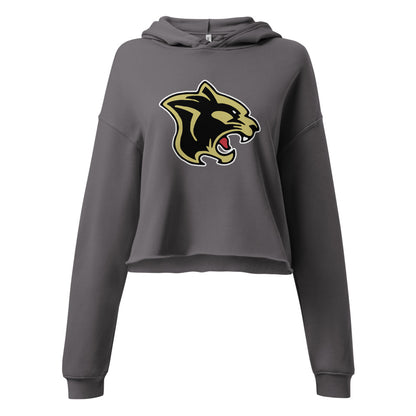 Pell City High School Design 3 — Storm