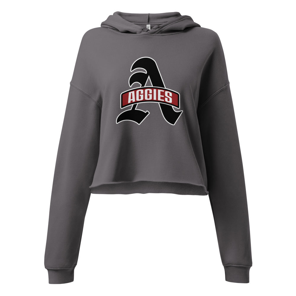 Albertville High School Design 3 — Storm