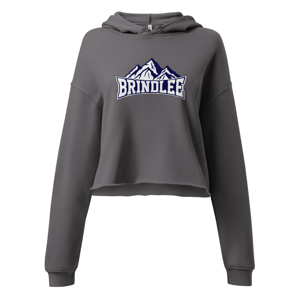 Brindlee Mountain High School Design 3 — Storm