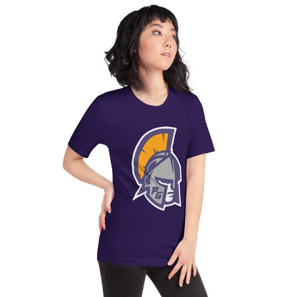 Pleasant Grove High School Design 3 — Team Purple