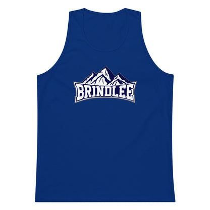 Brindlee Mountain High School Design 3 — Team Royal