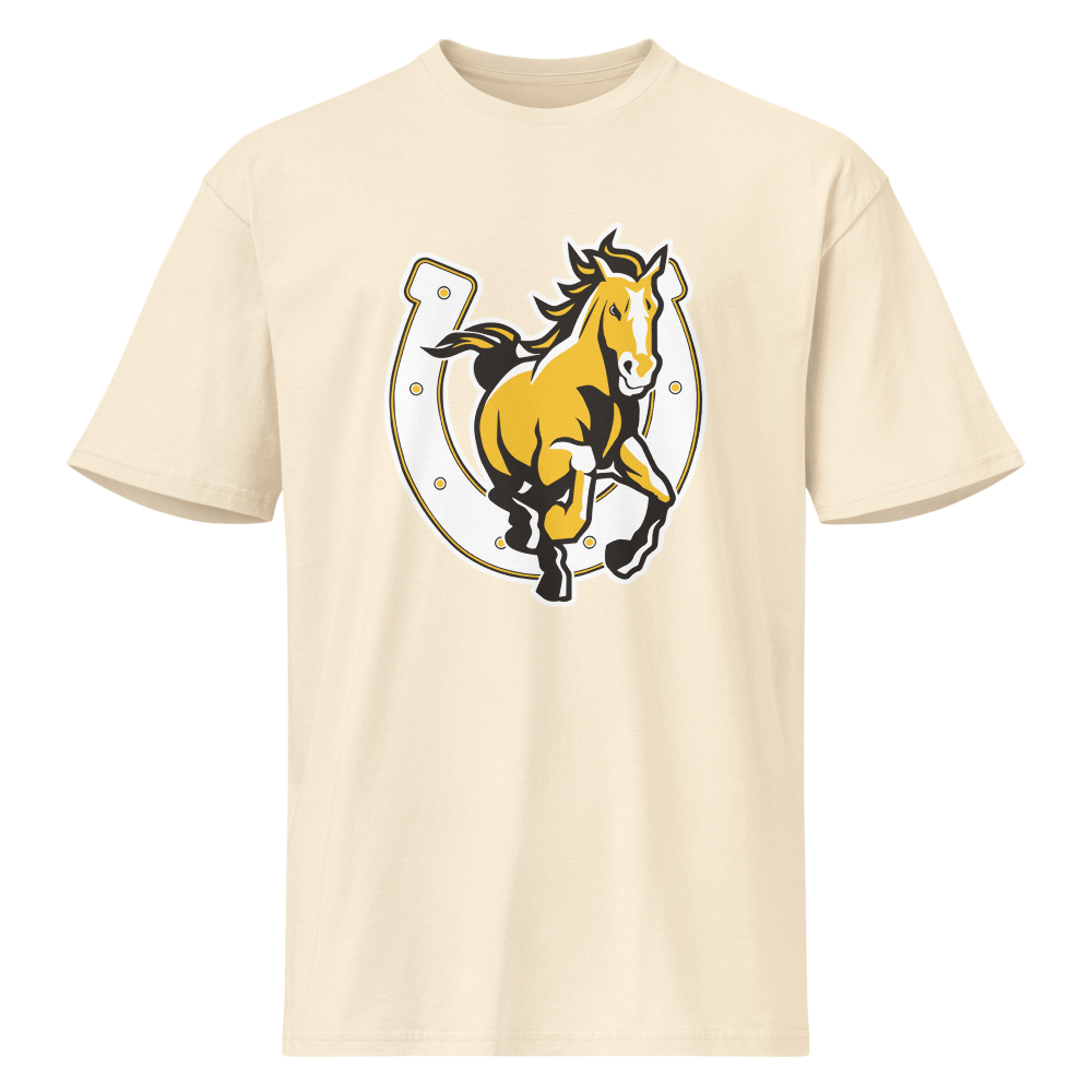 Cottonwood High School Design 3 — Vintage White