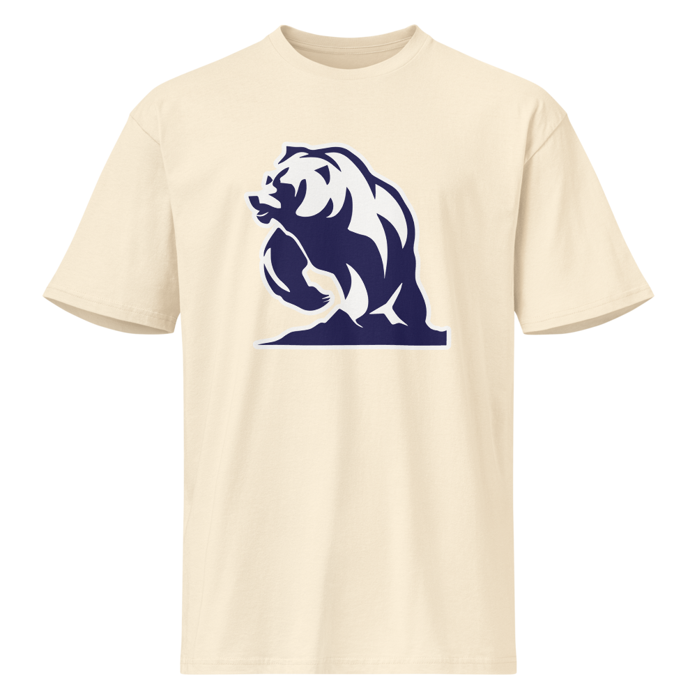 Summit Academy Design 3 — Vintage White