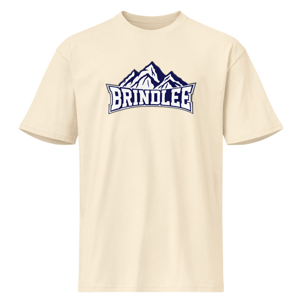 Brindlee Mountain High School Design 3 — Vintage White