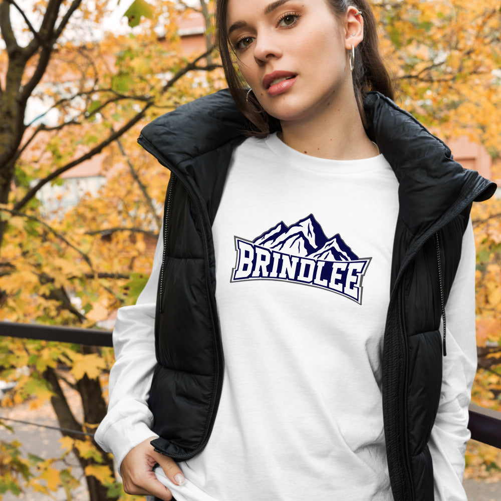 Brindlee Mountain High School Design 3 — White