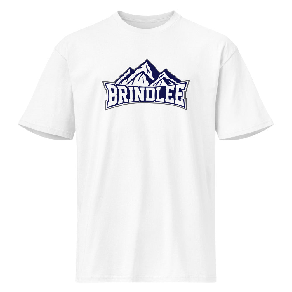 Brindlee Mountain High School Design 3 — White