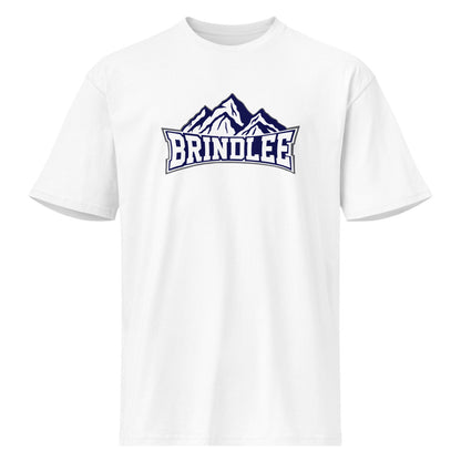 Brindlee Mountain High School Design 3 — White