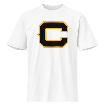 Corner High School Design 3 — White