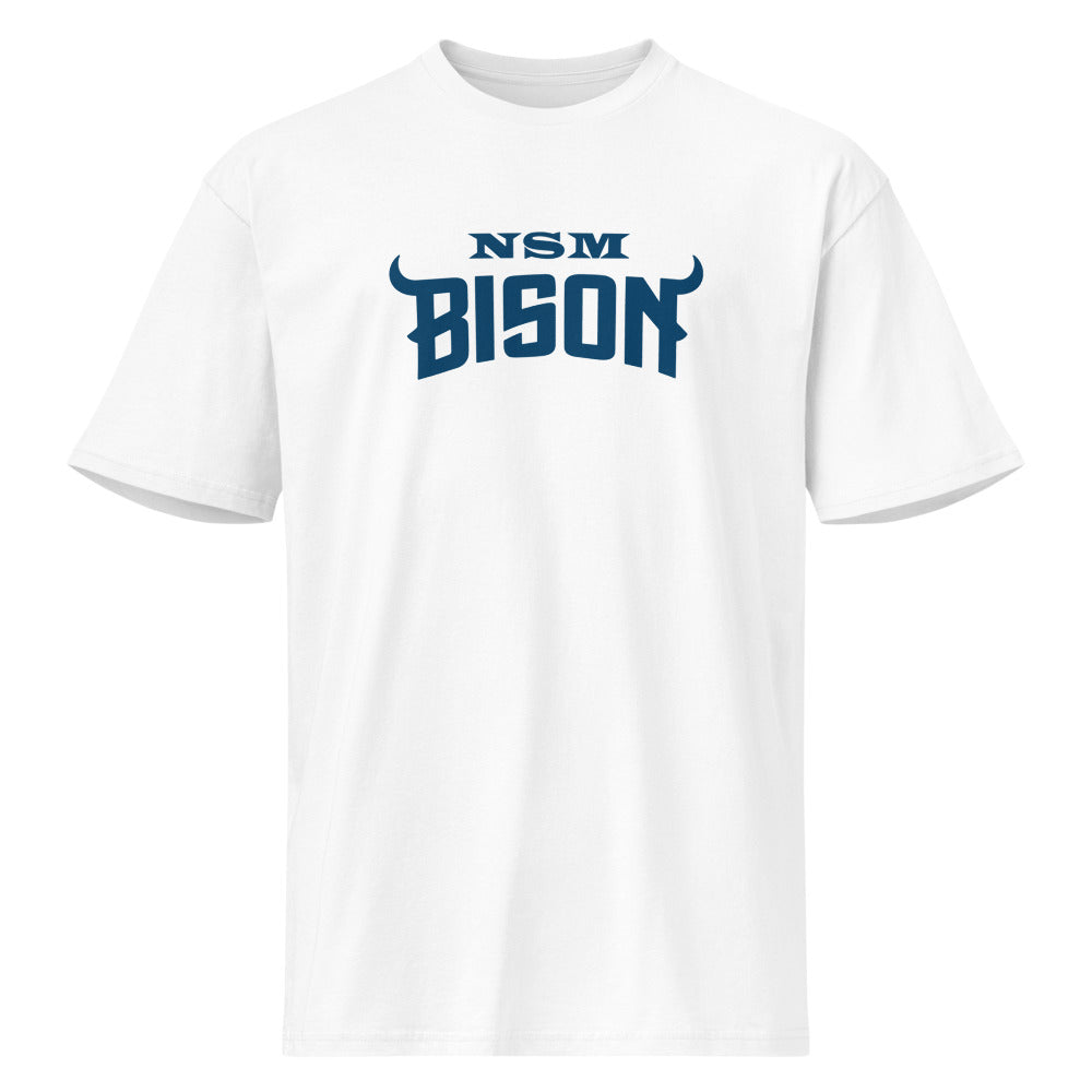 North Sand Mountain High School Design 3 — White
