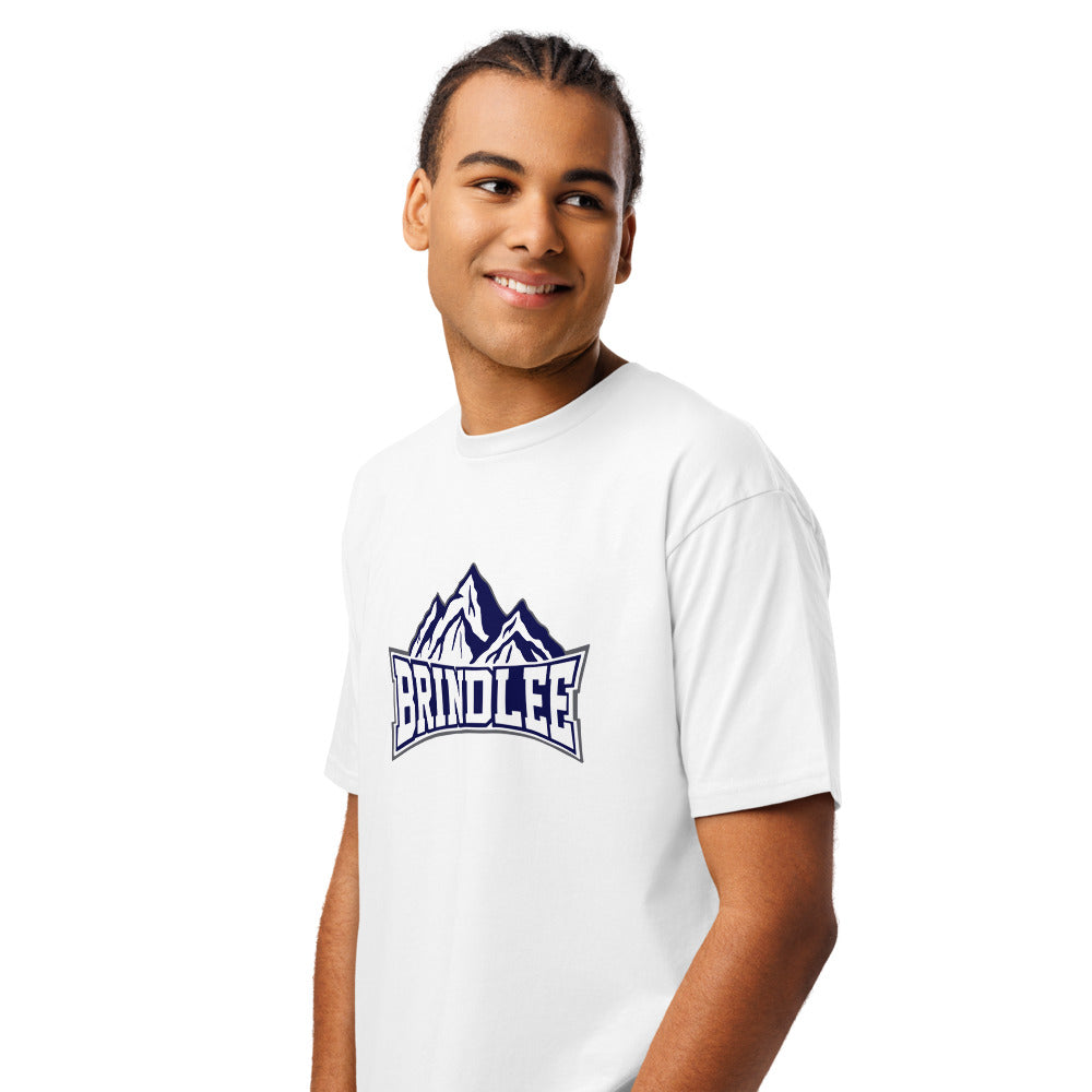 Brindlee Mountain High School Design 3 — White