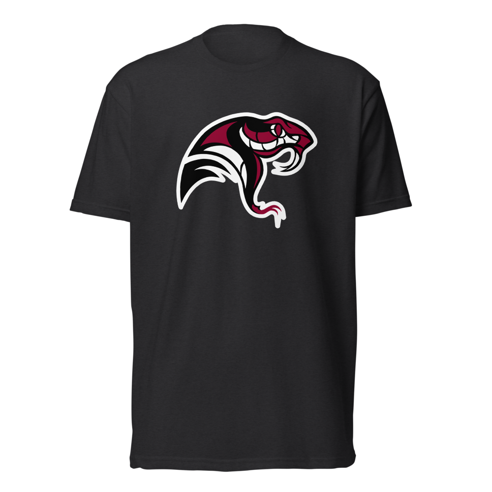 Desert Oasis High School Design 4 — Black
