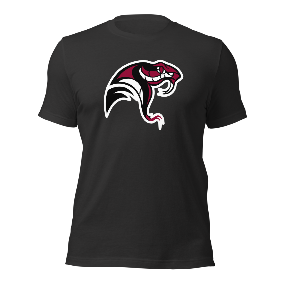 Desert Oasis High School Design 4 — Dark Grey