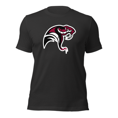 Desert Oasis High School Design 4 — Dark Grey