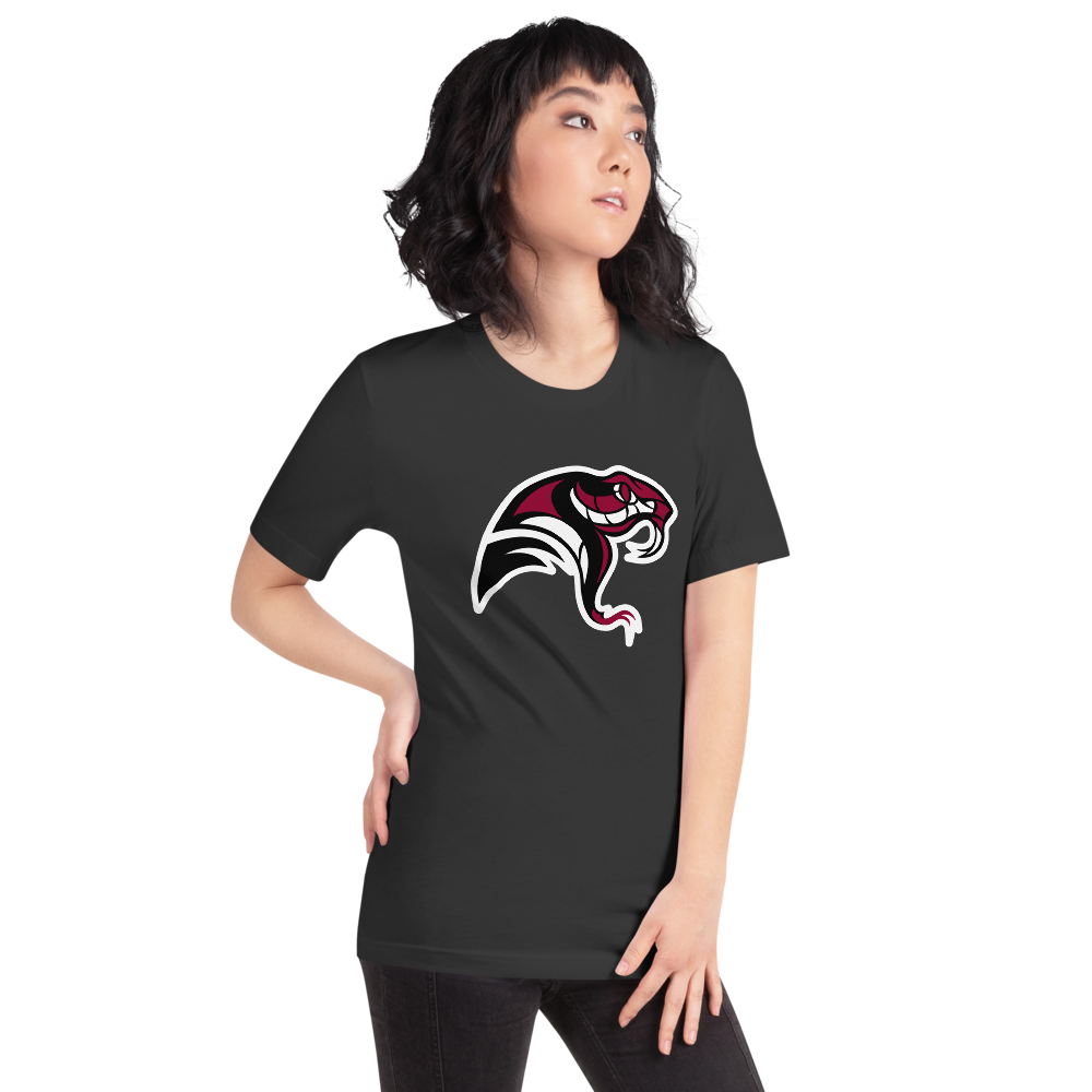 Desert Oasis High School Design 4 — Dark Grey