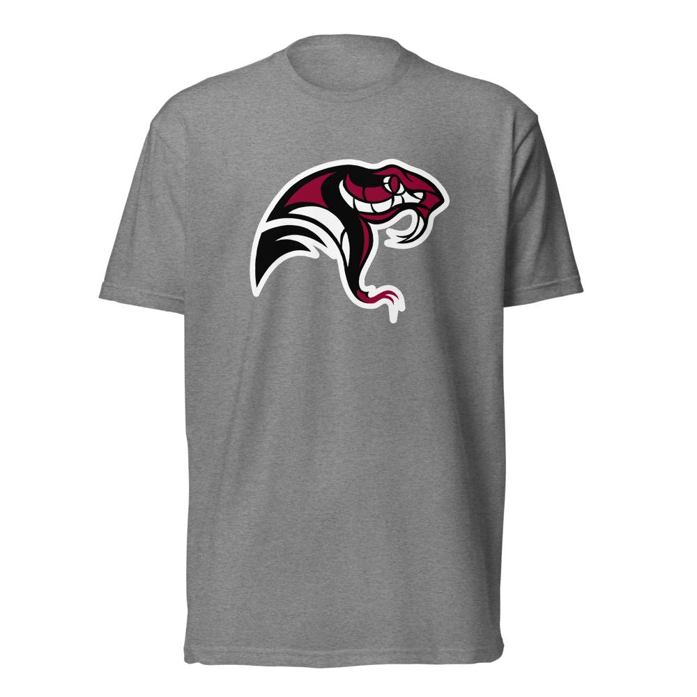 Desert Oasis High School Design 4 — Dark Heather Gray