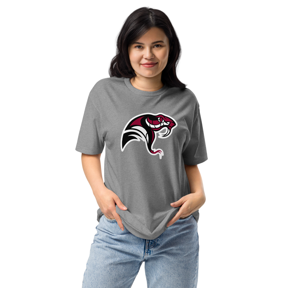 Desert Oasis High School Design 4 — Dark Heather Gray