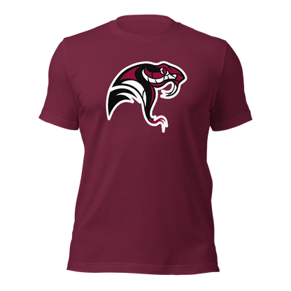 Desert Oasis High School Design 4 — Maroon