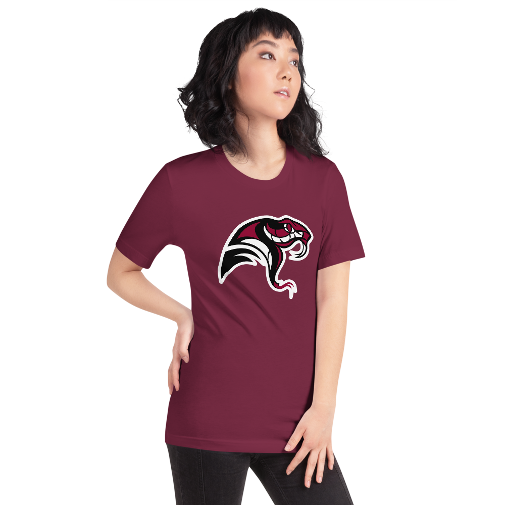 Desert Oasis High School Design 4 — Maroon