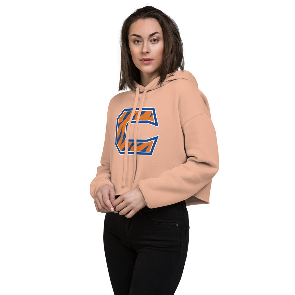 Chilton County High School Design 4 — Peach