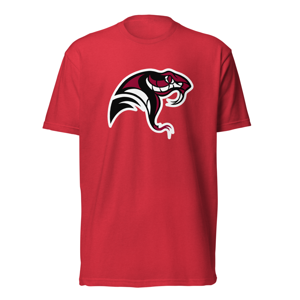 Desert Oasis High School Design 4 — Red