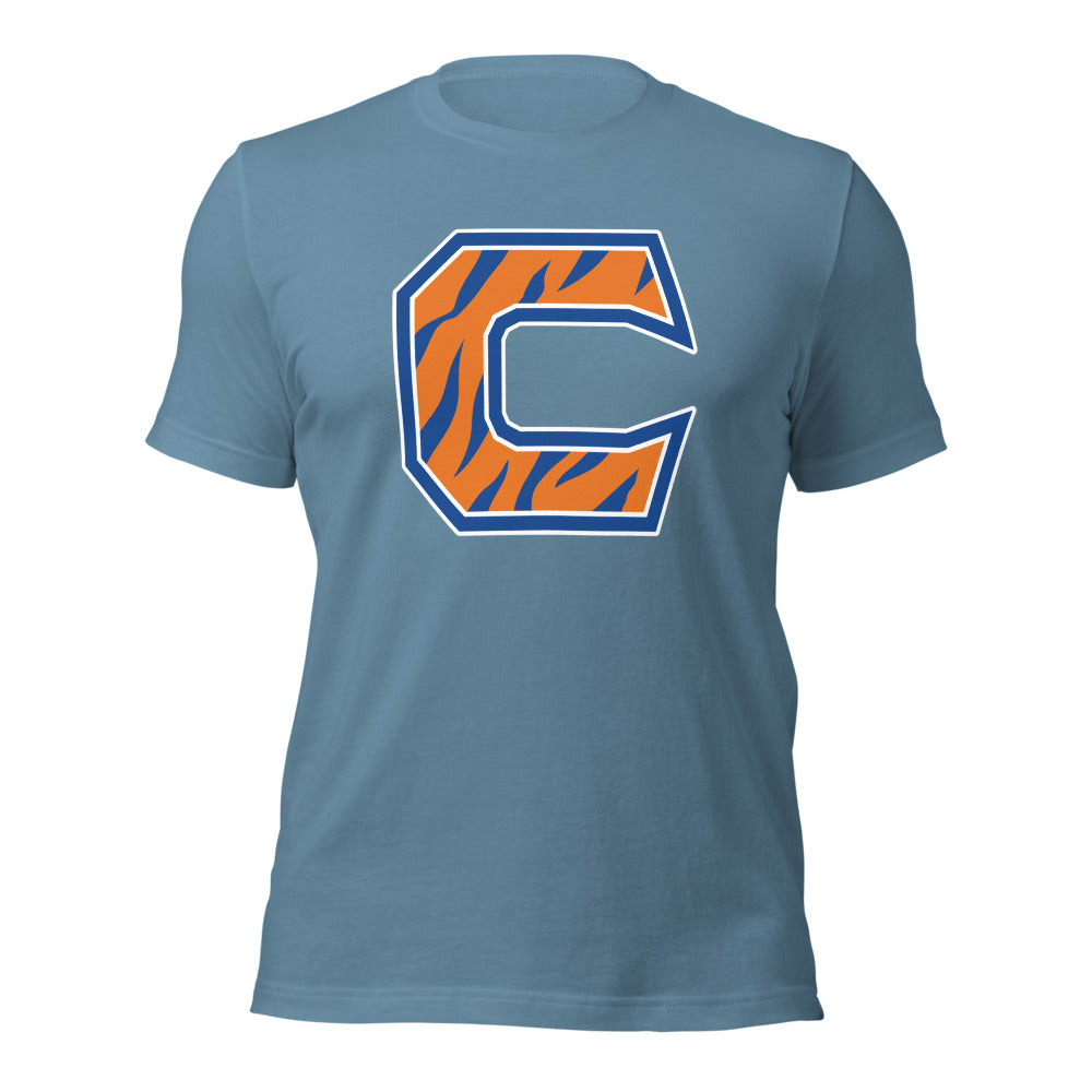 Chilton County High School Design 4 — Steel Blue