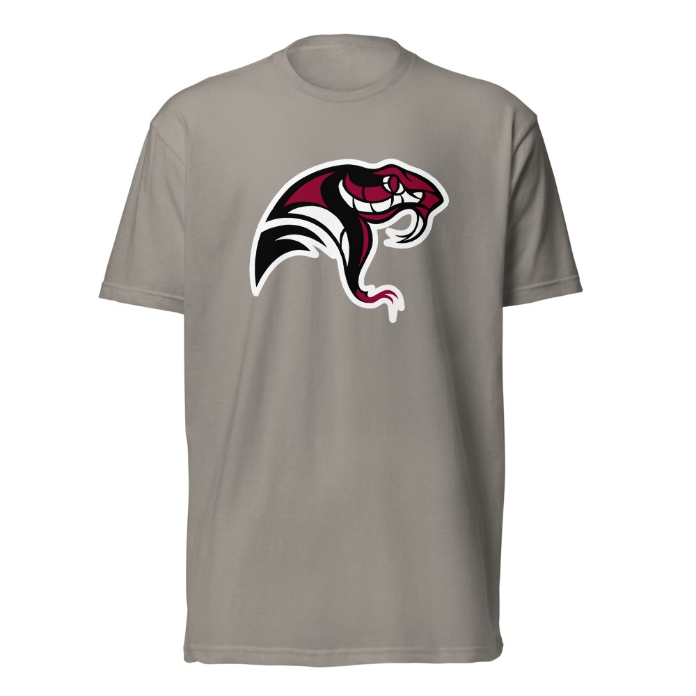 Desert Oasis High School Design 4 — Stone Grey