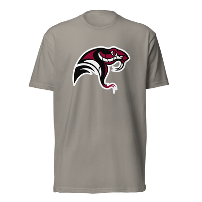 Desert Oasis High School Design 4 — Stone Grey