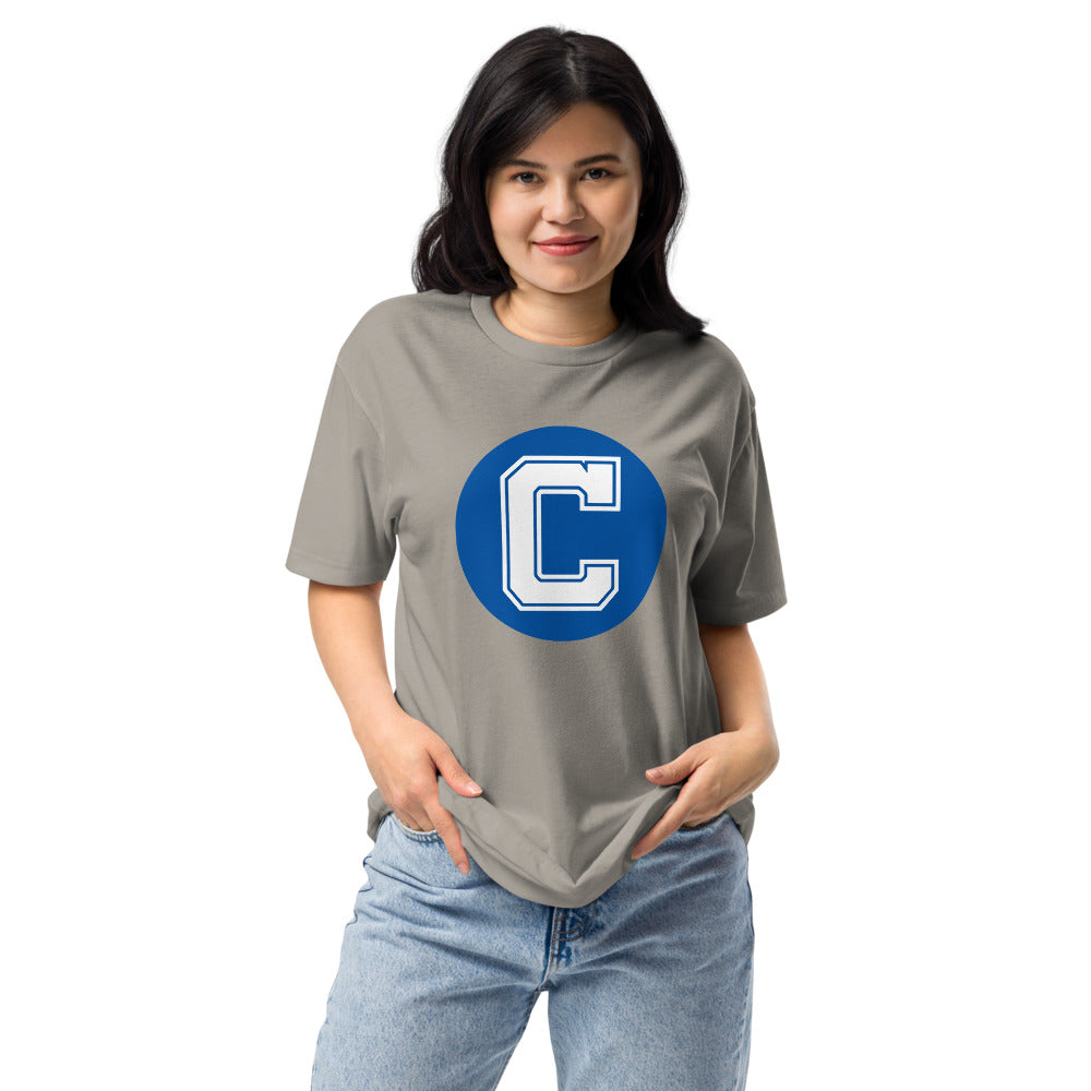 Chelsea HIgh School Design 4 — Stone Grey