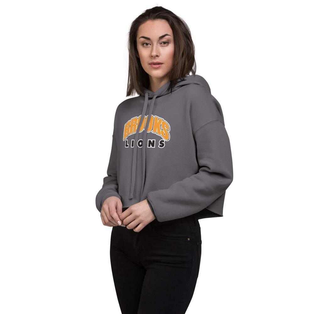 Brooks High School Design 4 — Storm