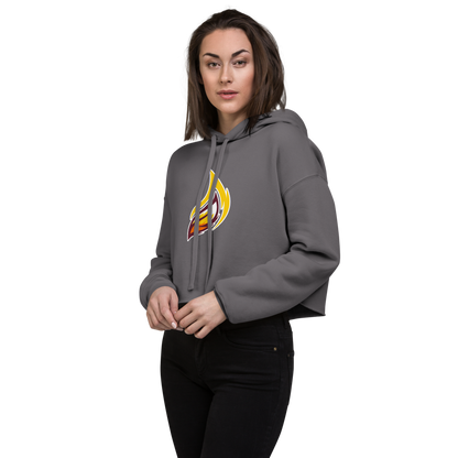 Eldorado High School Design 4 — Storm