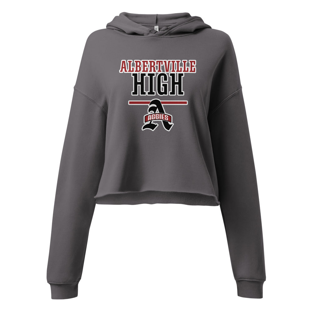 Albertville High School Design 4 — Storm