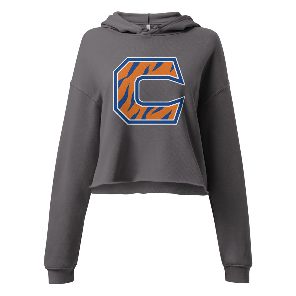 Chilton County High School Design 4 — Storm