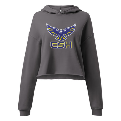 Cold Springs High School Design 4 — Storm