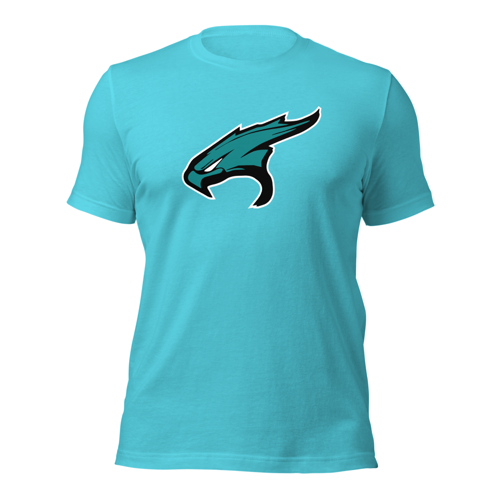 Canyon View High School Design 4 — Turquoise
