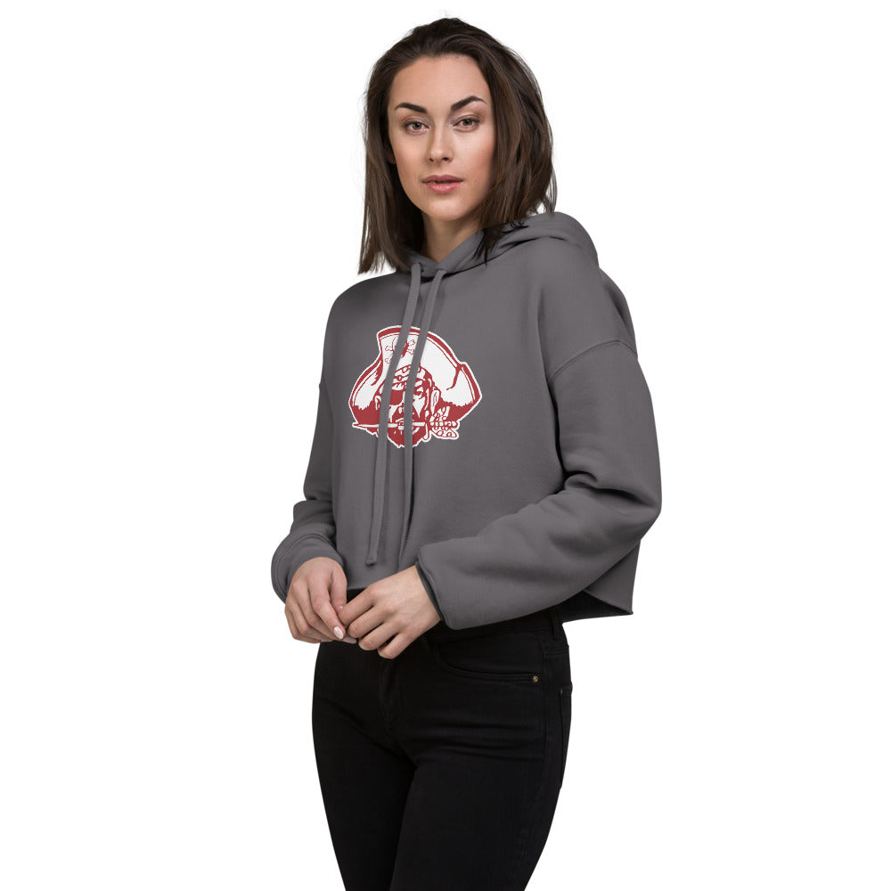 Boaz High School Design 5 — Storm