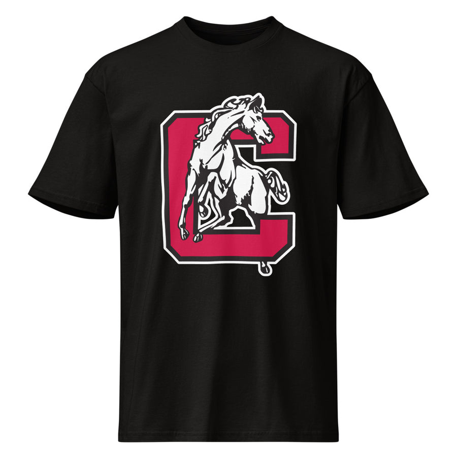 Premium Short Sleeve Tee