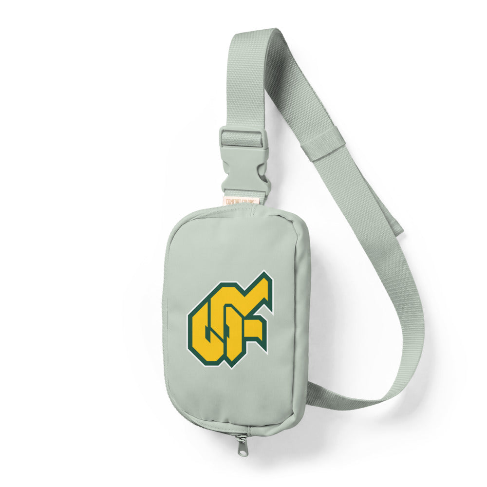 Sling Bag