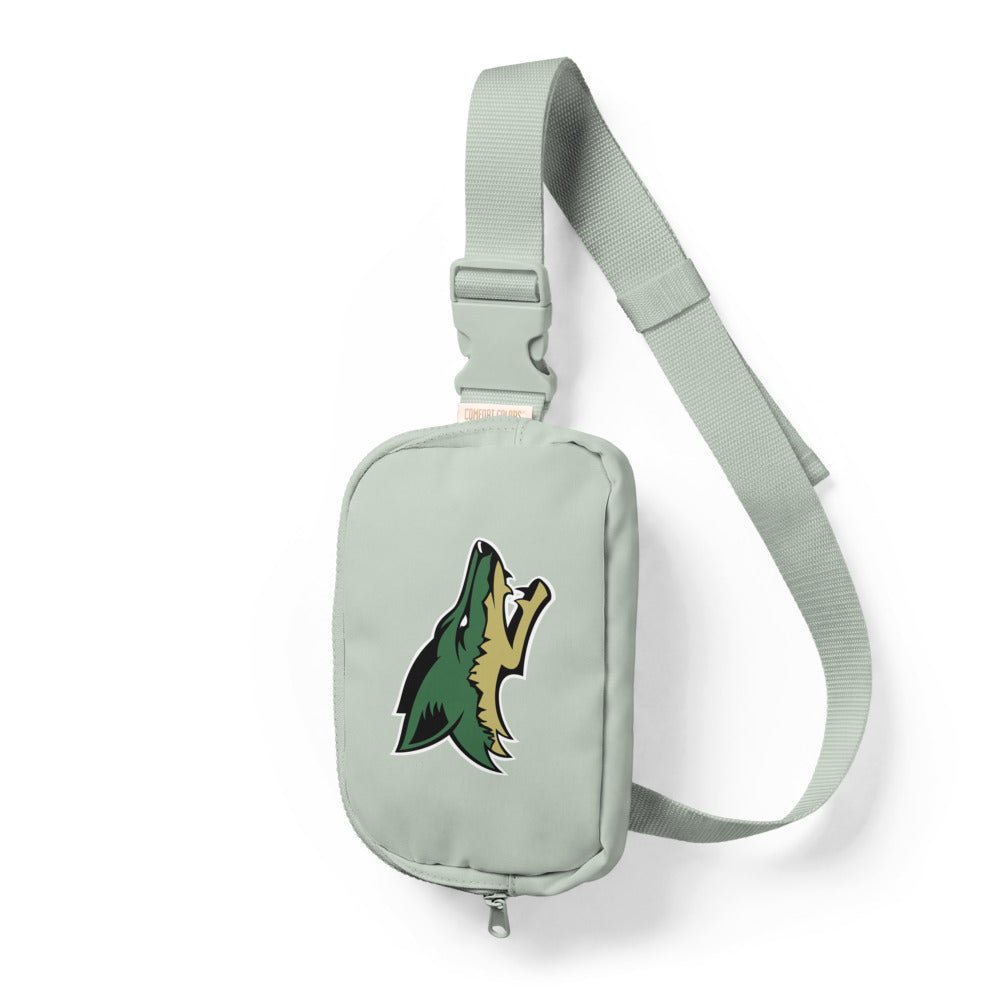 Sling Bag