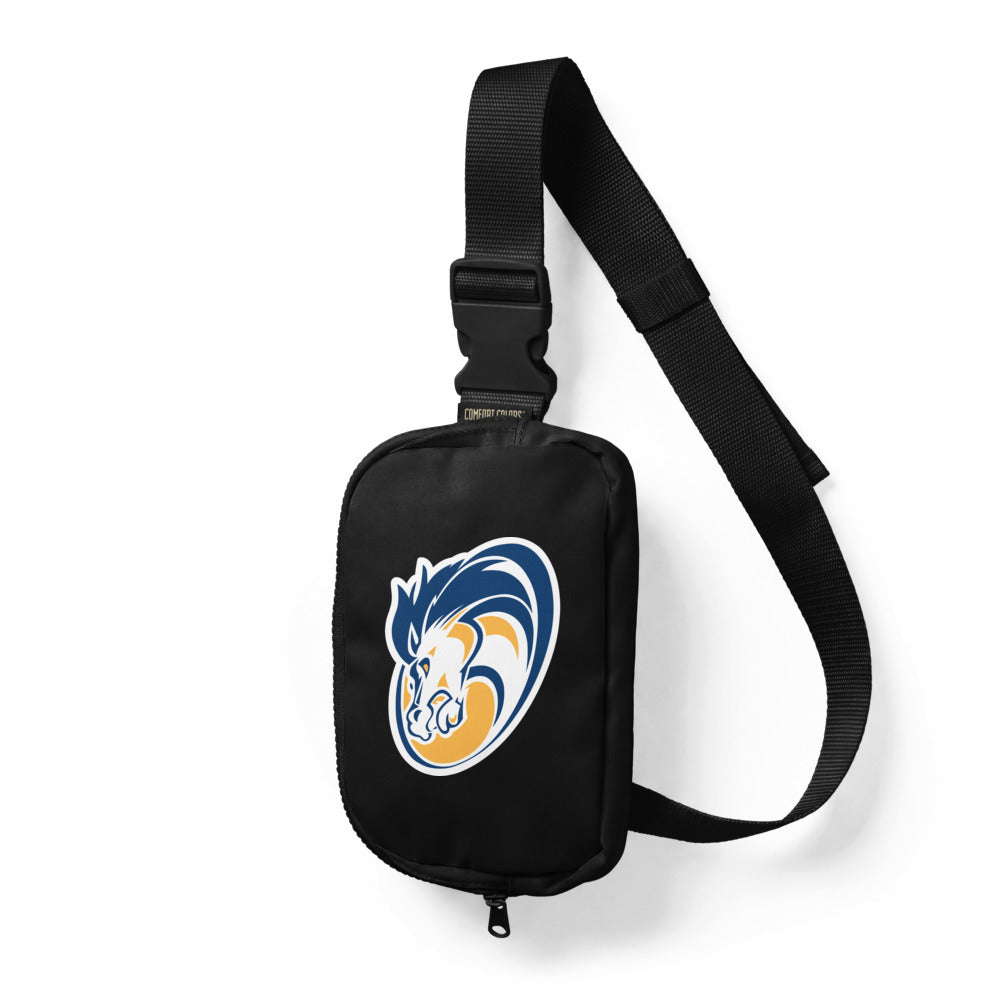 Sling Bag