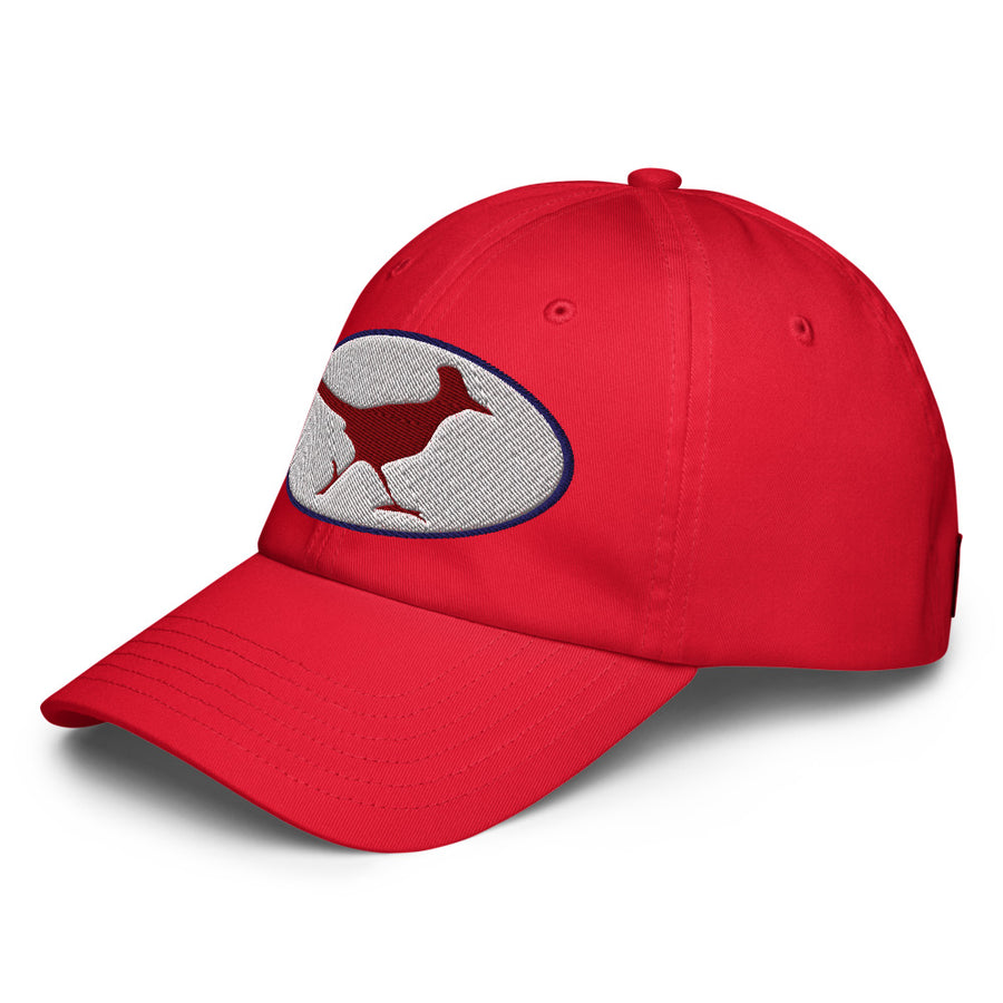 Under Armour Dad Hat
