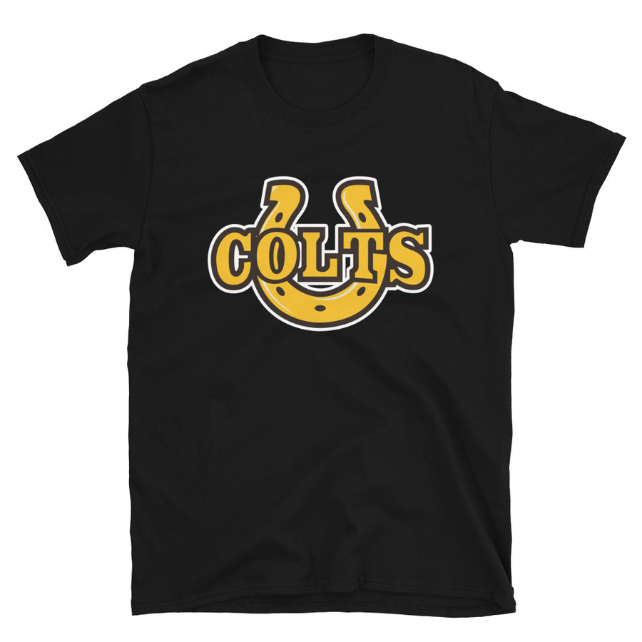 Basic Softstyle T-Shirt
