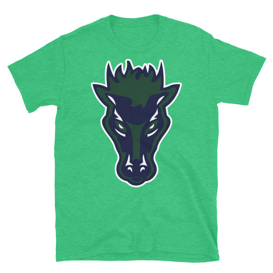 Basic Softstyle T-Shirt
