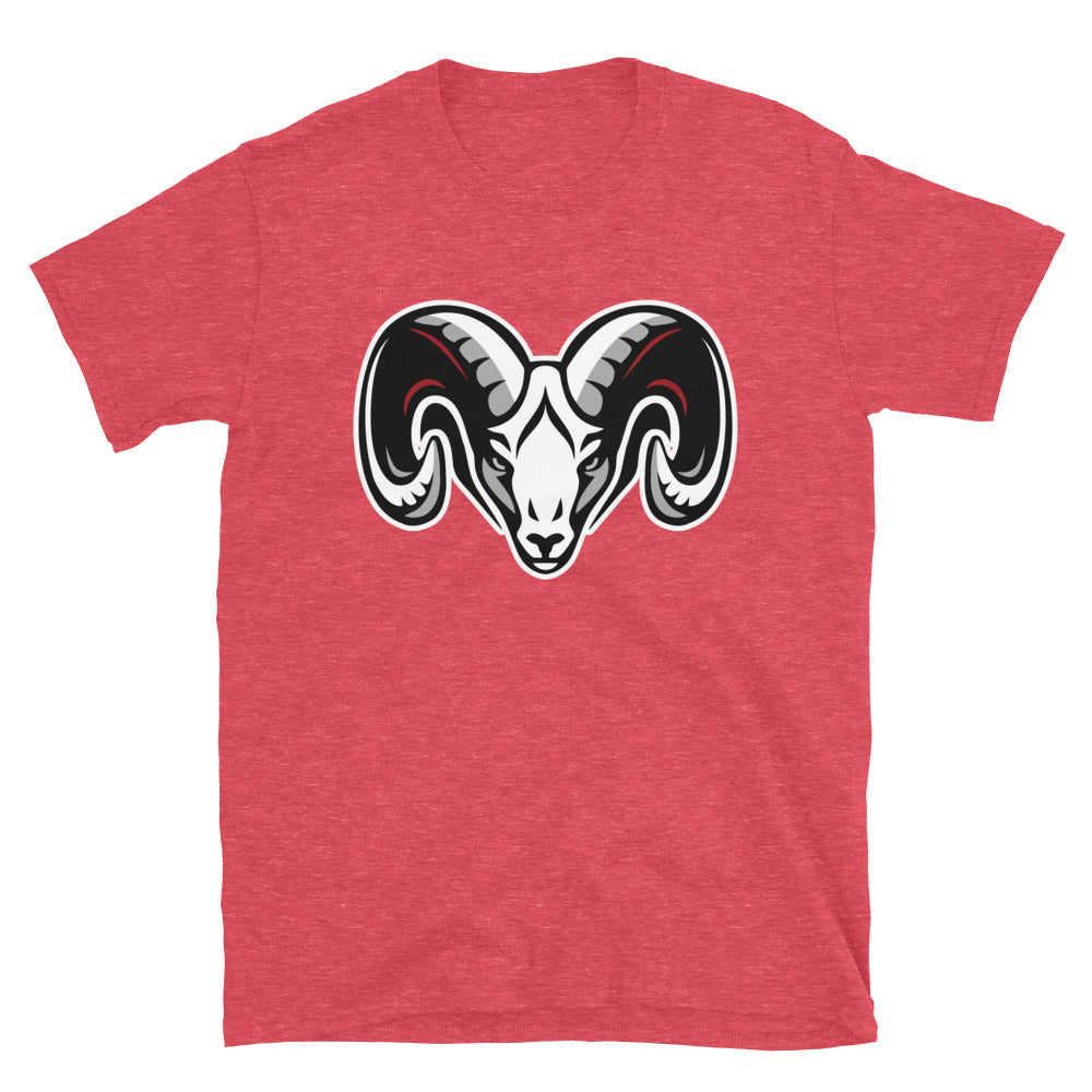 Basic Softstyle T-Shirt
