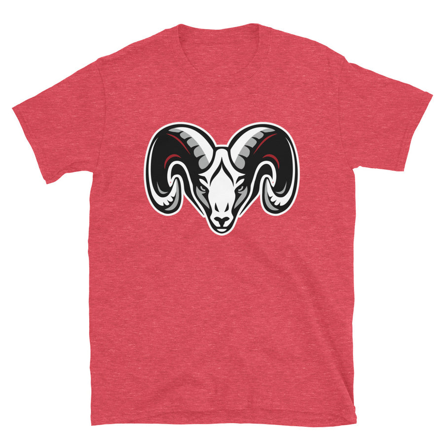 Basic Softstyle T-Shirt