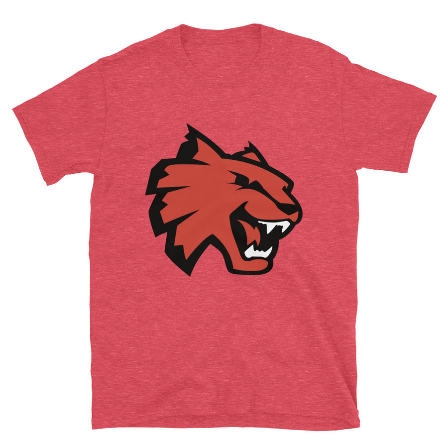 Basic Softstyle T-Shirt
