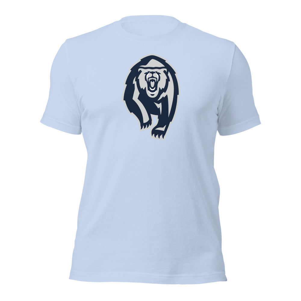 Baby Blue Design 1
