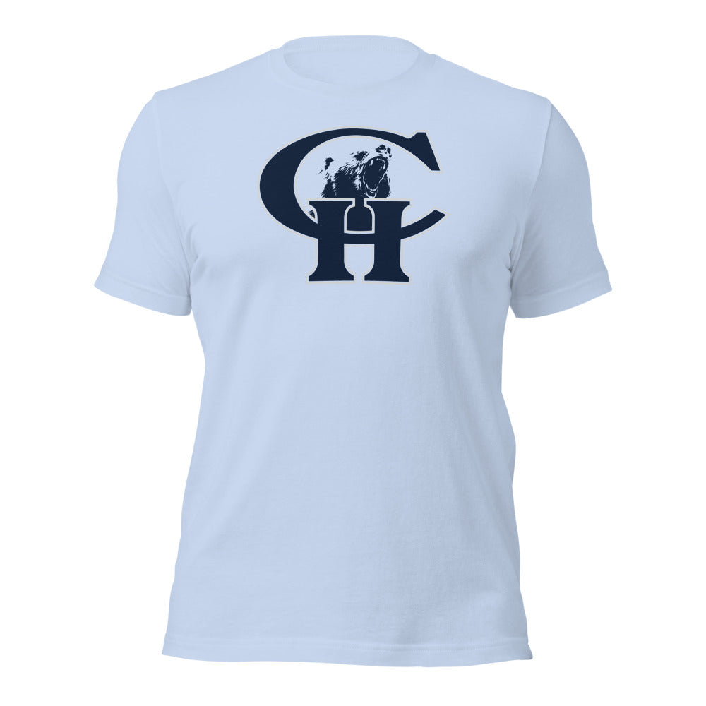 Baby Blue Design 2