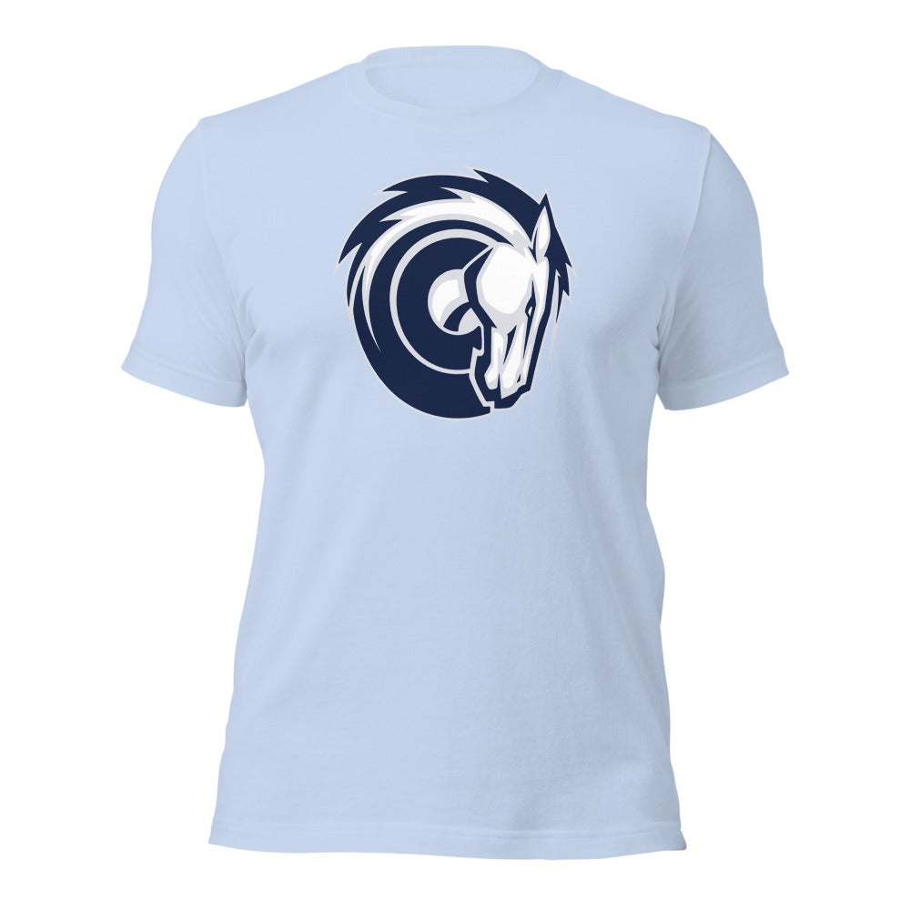 Baby Blue Design 2