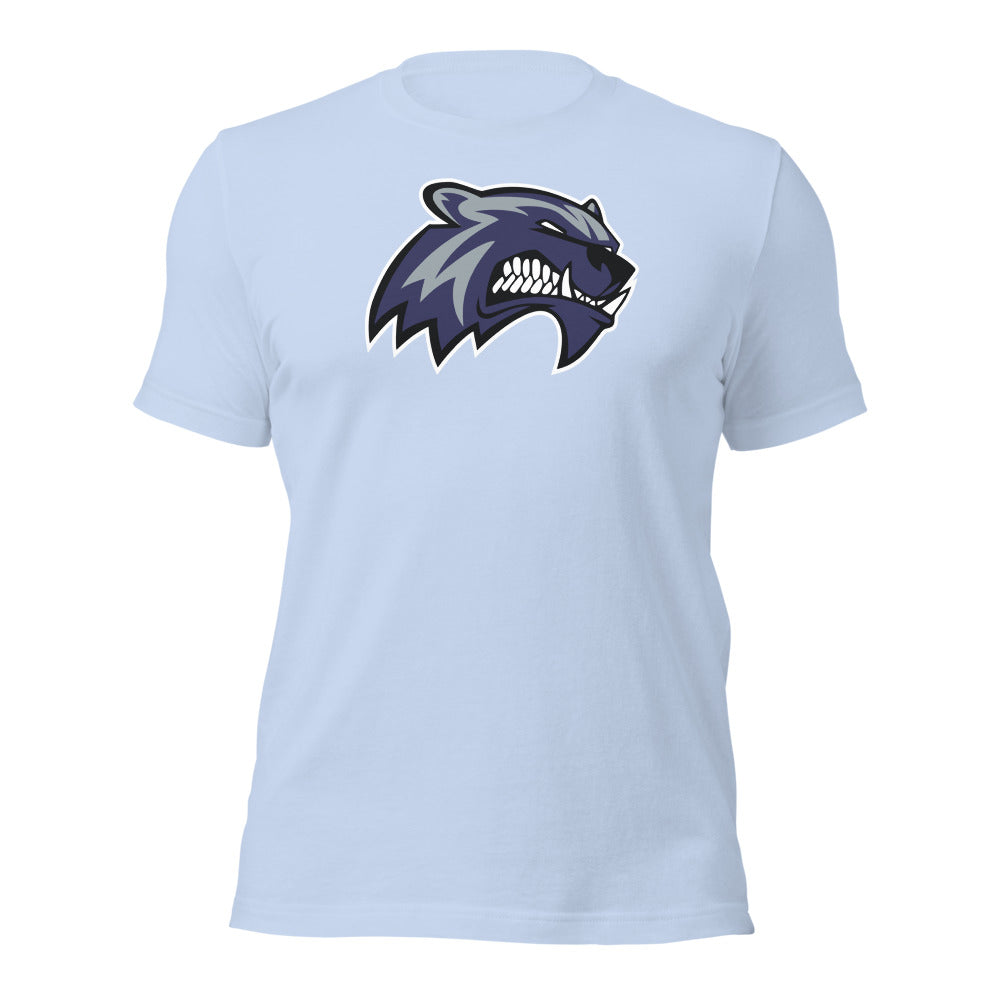 Baby Blue Design 1