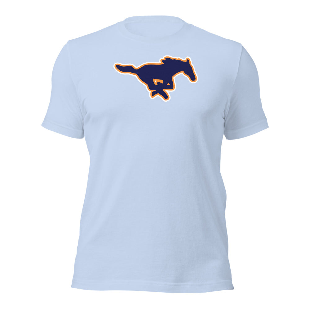 Baby Blue Design 1